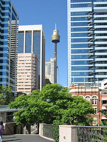 Sydney Tower