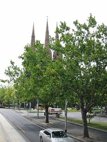 Fotos St. Patrick's Cathedral