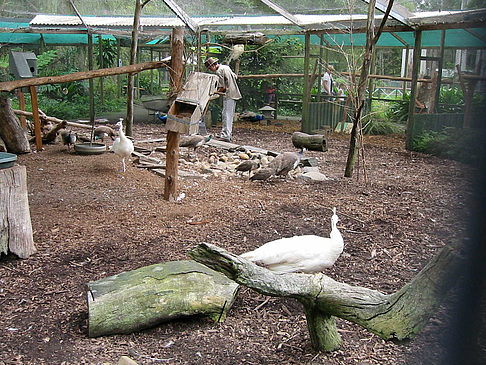 Fotos Billabong Wildlife Park