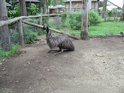 Billabong Wildlife Park Fotos