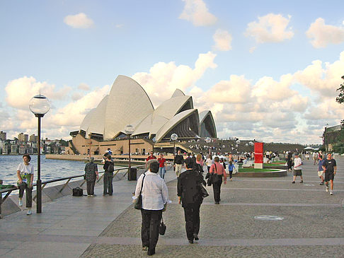 Hafen und Oper Foto 