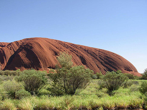 Foto Kata Tjuta und Uluru - 