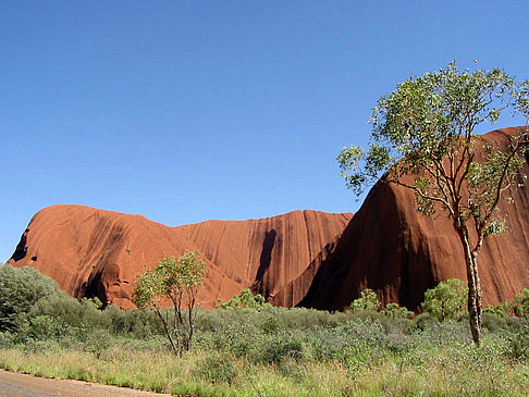 Foto Kata Tjuta und Uluru - 