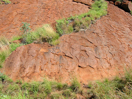 Kata Tjuta und Uluru Fotos