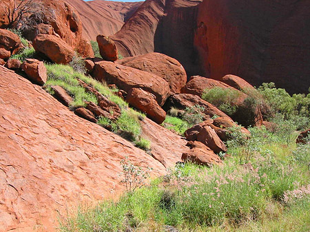 Foto Kata Tjuta und Uluru