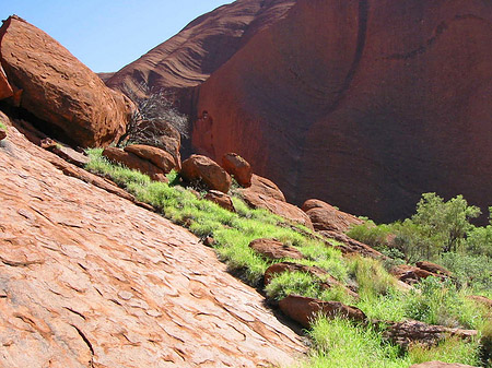 Fotos Kata Tjuta und Uluru | 