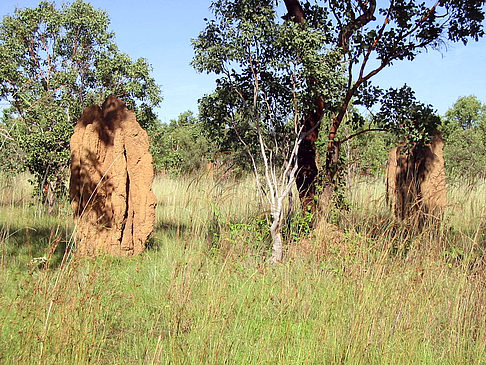 Foto Nationalpark Kakadu