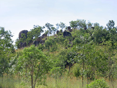 Fotos Nationalpark Kakadu | 