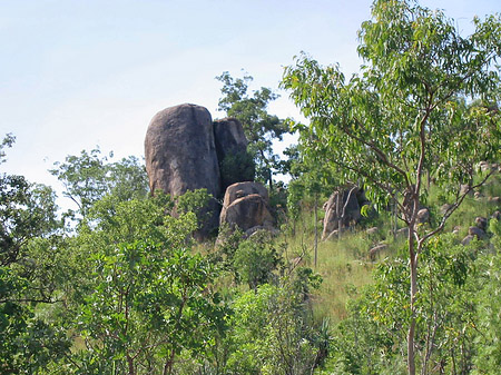 Nationalpark Kakadu Foto 