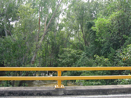 Foto Nationalpark Kakadu