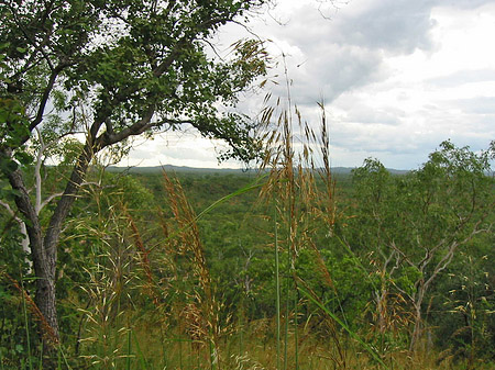 Nationalpark Nitmiluk Fotos