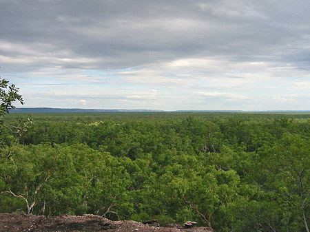 Foto Felsen