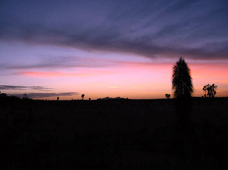 Foto Sonnenuntergang - 