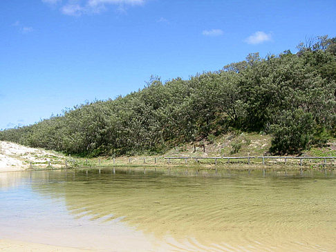 Foto Strand von Eli Creek