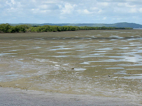 Fraser Island Foto 