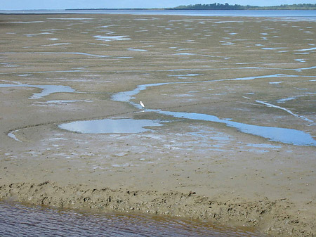 Fraser Island