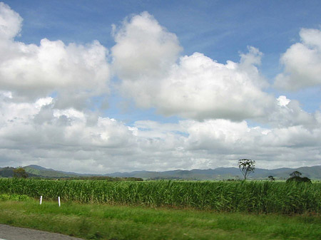 Fotos Fahrt nach Hervey Bay | 