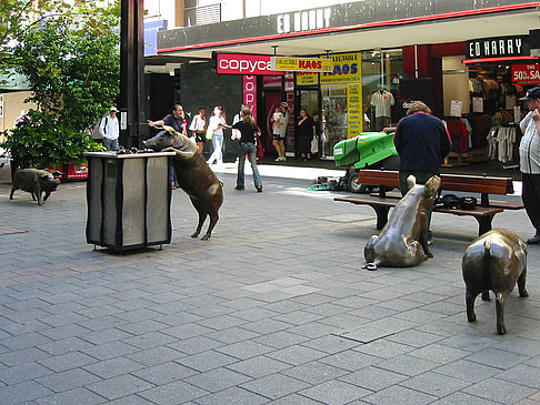 Foto Statue - Adelaide