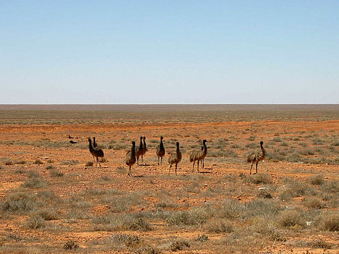 Coober Pedy