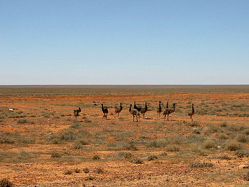 Fotos Coober Pedy