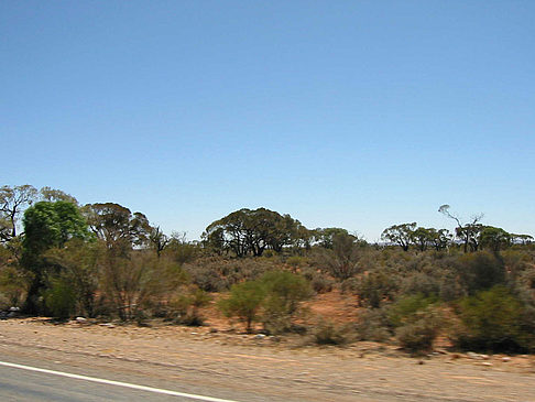 Fotos Coober Pedy