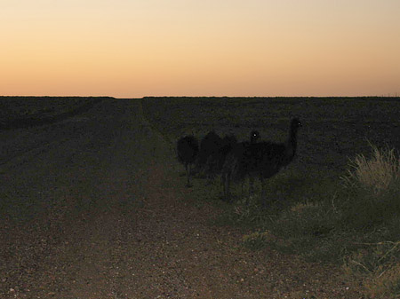 Foto Straße im Outback