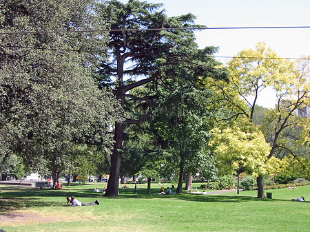 Flagstaff Gardens