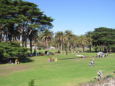 Foto Park - Melbourne